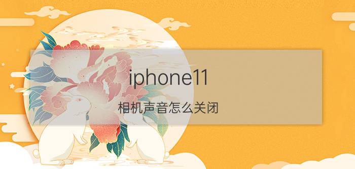 iphone11 相机声音怎么关闭